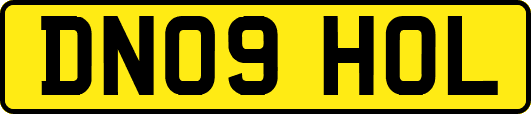 DN09HOL