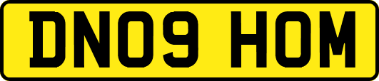 DN09HOM