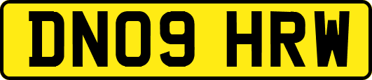 DN09HRW
