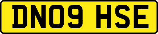 DN09HSE