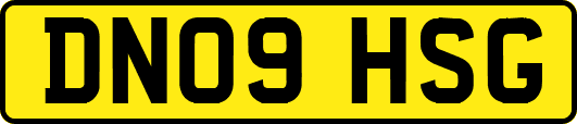 DN09HSG