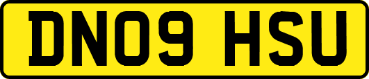 DN09HSU