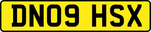 DN09HSX