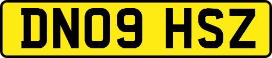 DN09HSZ