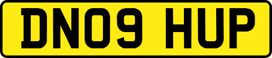 DN09HUP