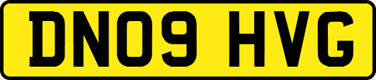 DN09HVG