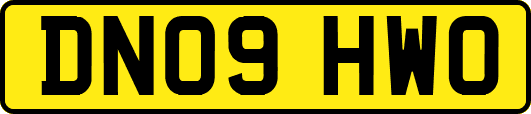 DN09HWO