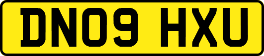 DN09HXU