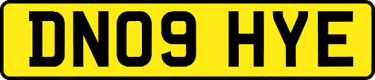 DN09HYE