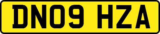 DN09HZA