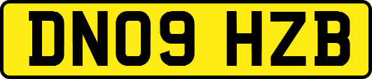 DN09HZB