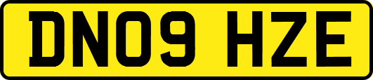 DN09HZE