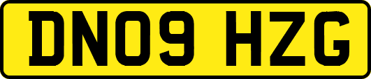 DN09HZG