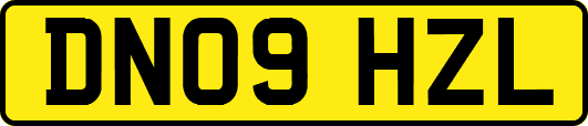 DN09HZL