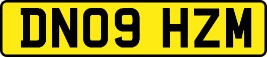 DN09HZM