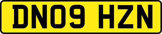 DN09HZN