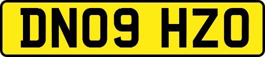DN09HZO
