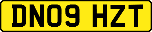DN09HZT