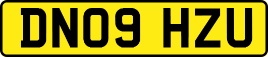 DN09HZU