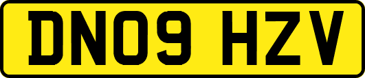 DN09HZV