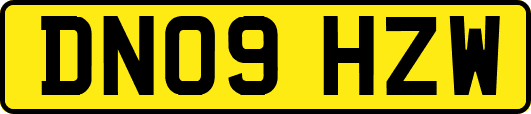 DN09HZW