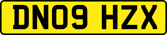 DN09HZX