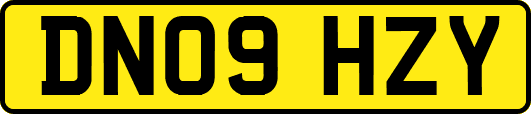 DN09HZY