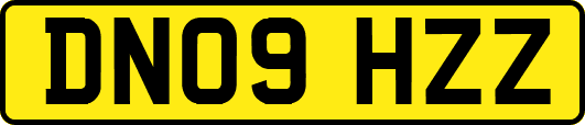 DN09HZZ