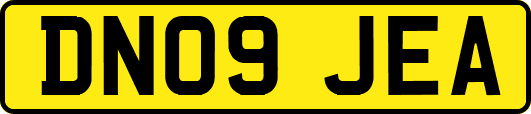 DN09JEA
