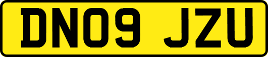 DN09JZU