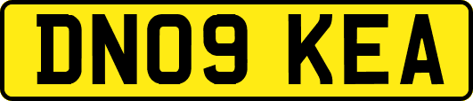 DN09KEA