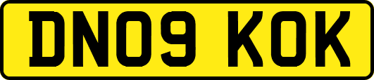 DN09KOK