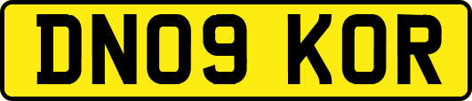 DN09KOR
