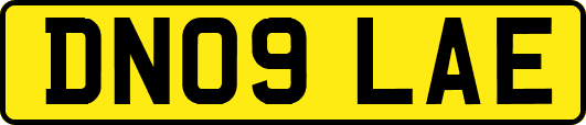 DN09LAE