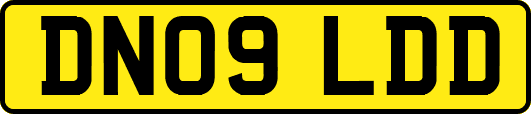 DN09LDD