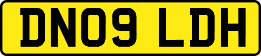 DN09LDH