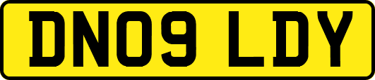 DN09LDY