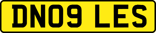 DN09LES