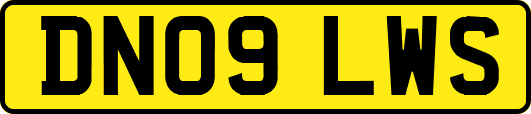 DN09LWS