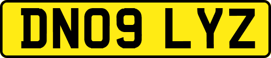 DN09LYZ