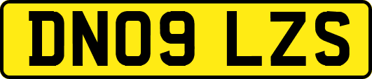 DN09LZS