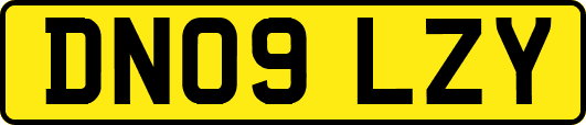 DN09LZY