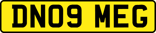 DN09MEG