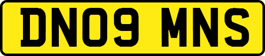 DN09MNS