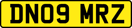 DN09MRZ