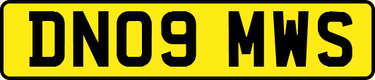 DN09MWS