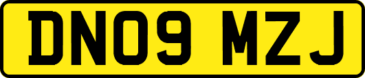 DN09MZJ