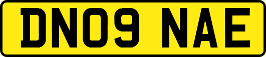 DN09NAE