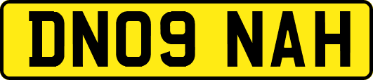 DN09NAH