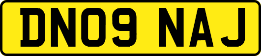 DN09NAJ